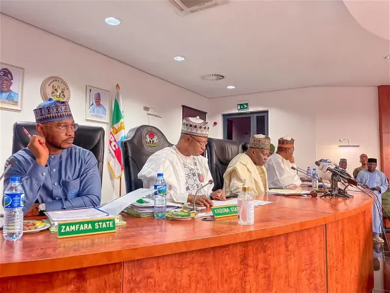 Northern Govs Unite Over Kaduna Error Attacks, Seeks Justice For Victims