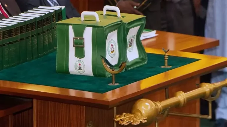 2024 Budget: Group Advises FG To Increase Education  Budget