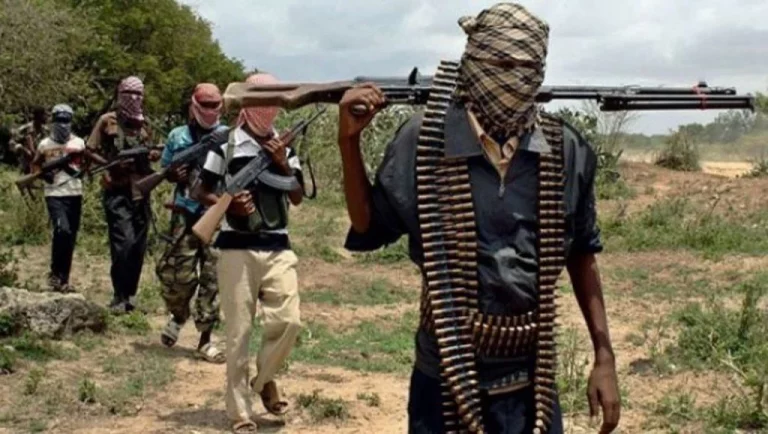 Gunmen Strike Again, Kill 8 In Benue Communities