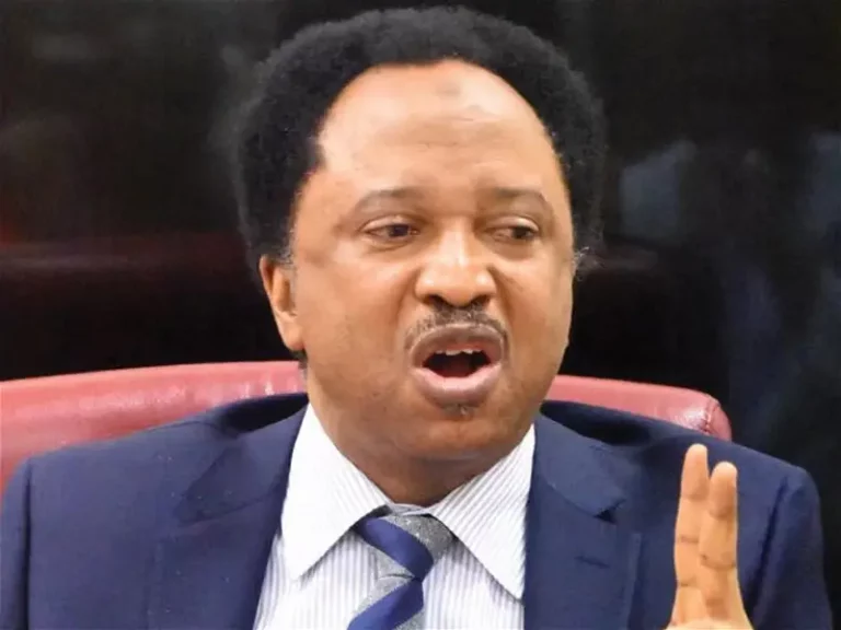 Insecurity: State Police Is Mirage, Recipe For Anarchy — Shehu Sani
