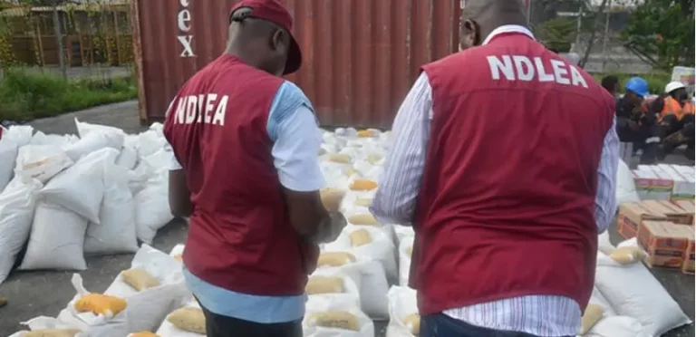 Drug war: NDLEA Intercepts Large Consignment Of Drugs From New York At Lagos Airport