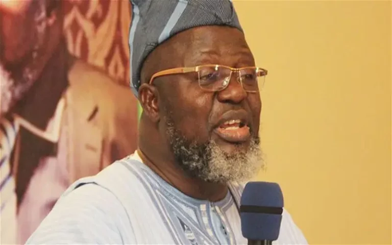 Negotiate With Bandits, Give Them Promising Future – Shittu Tells FG