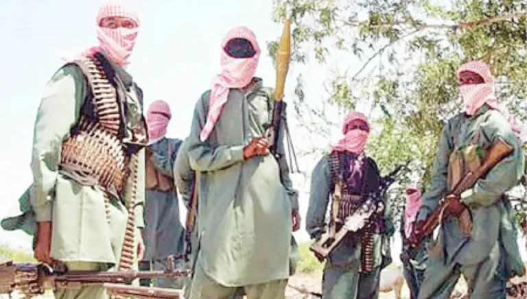 As Usual, Terrorists Storm Benue Communities, Kill Soldier, Others