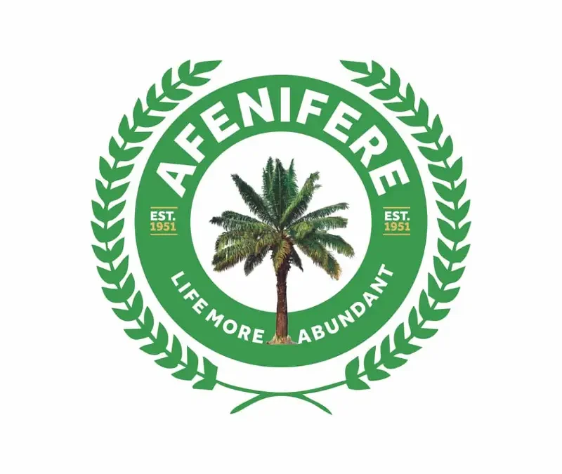 Call for Yoruba exit from Nigeria: We’re not part of it — Afenifere