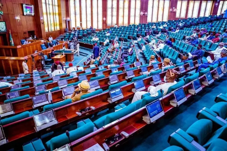 Hike In Electricity Tariff, Insensitive, Inhuman, Evil — Reps Minority Caucus