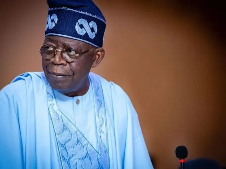 We won’t allow self politicians destroy Nigeria, says President Tinubu
