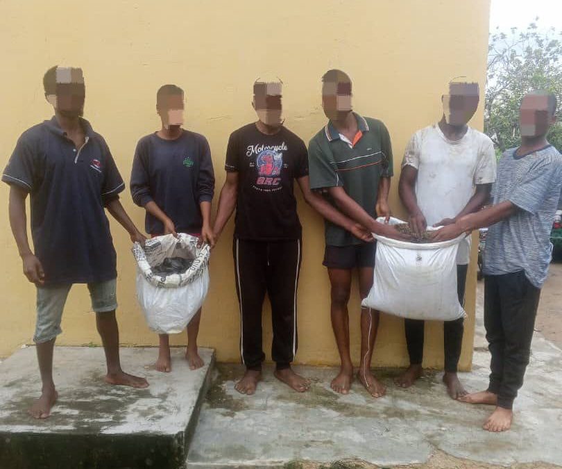 Police Arrest Six Suspected Cultists In Akwa Ibom