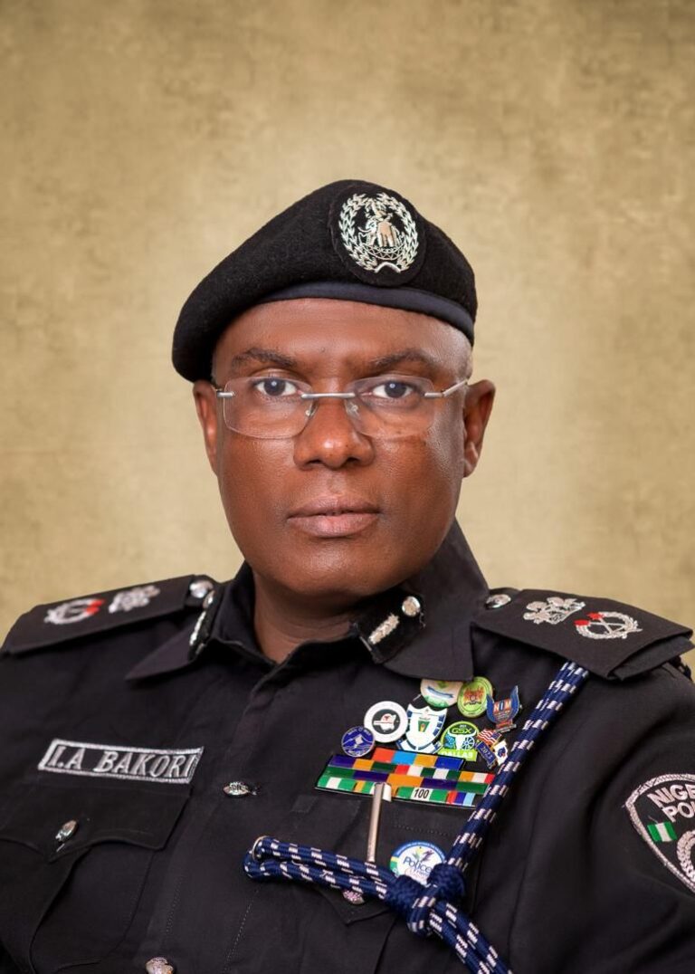 Police Post CP Ibrahim Adamu Bakori To Kano State Command