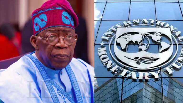 IMF Urges Nigeria to Enlarge Tax Revenue Base