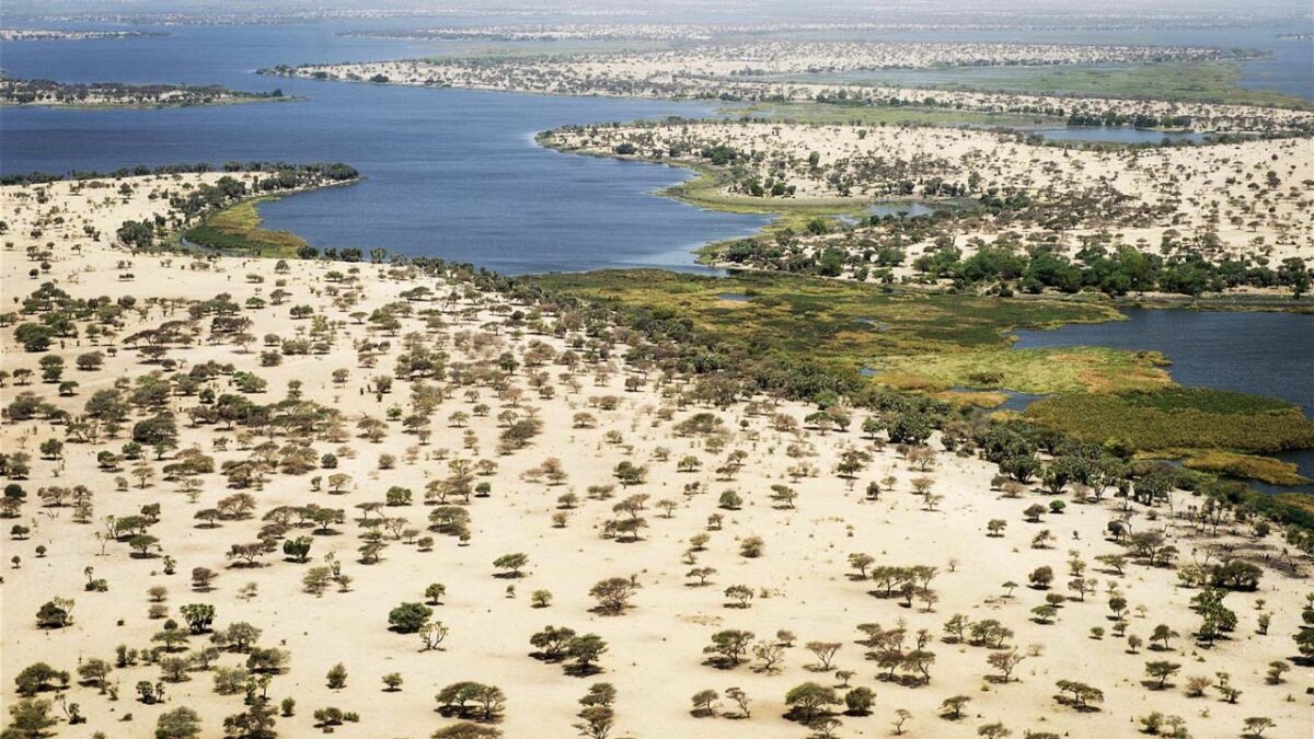 FG to Establish Regional Rail, Airline to Link Lake Chad Countries –Minister Maigari