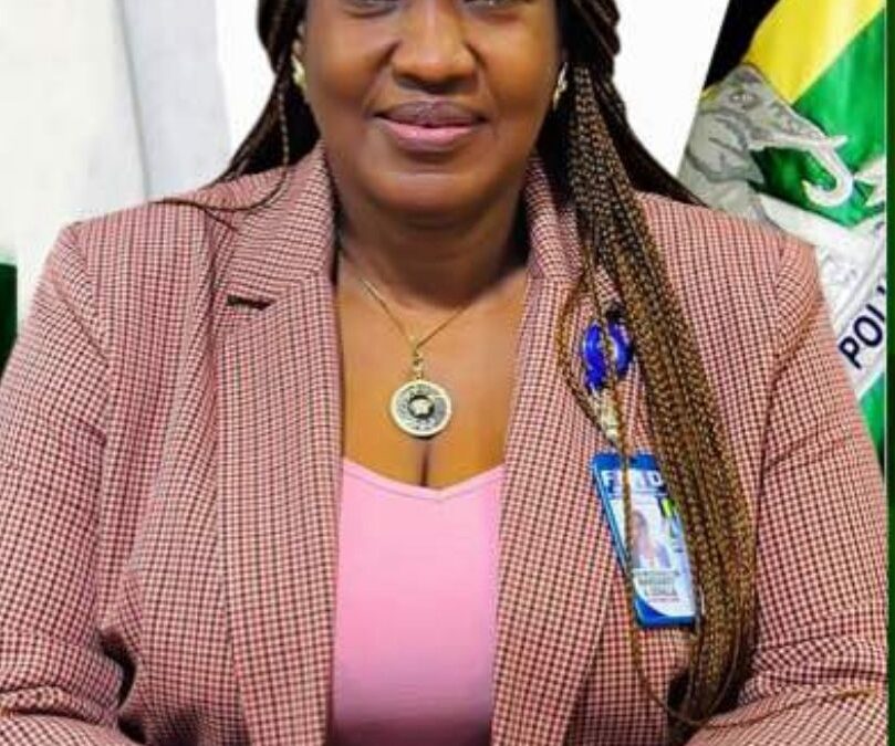 AiG Reacts To Allegations Of Extortion And Human Rights Violations Involving Inspector Kalu
