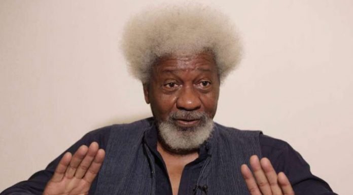 US Revokes Wole Soyinka’s Visa, Bans Him From Entering America