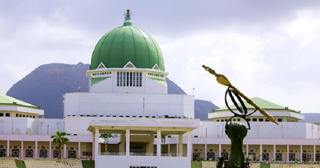 National Assembly Considers 55 New States, 278 More Councils