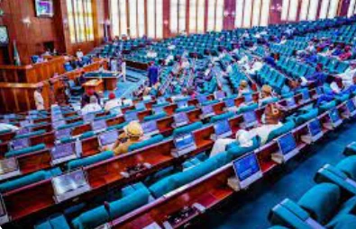 Reps Probe Tax Law Tweaks, PDP Demands Suspension