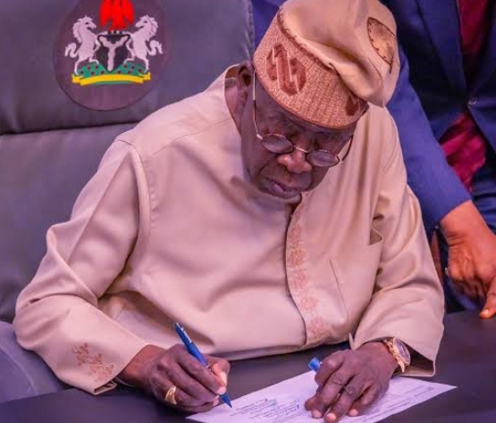 E-transmission Of  Poll Results Can’t Replace Manual — Tinubu