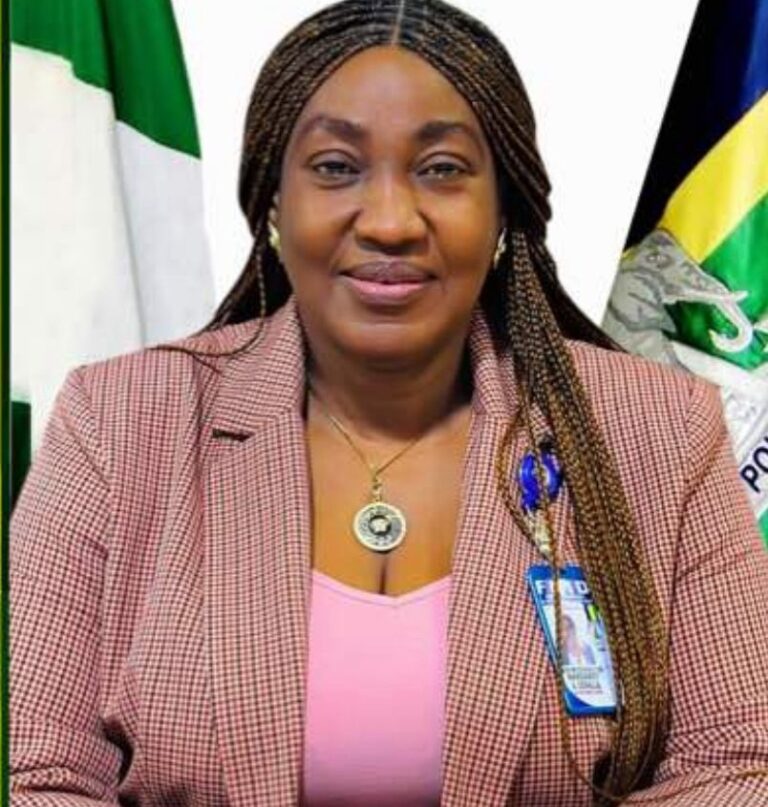 Nigeria’s Police Commission Approves Promotion Of Seven AIGs To DIGs