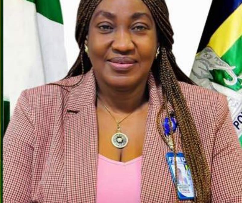 Nigeria’s Police Commission Approves Promotion Of Seven AIGs To DIGs