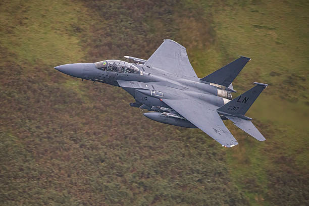 Three US F-15s Downed By Kuwaiti Air Defence In Friendly Fire Incident, US Military Says