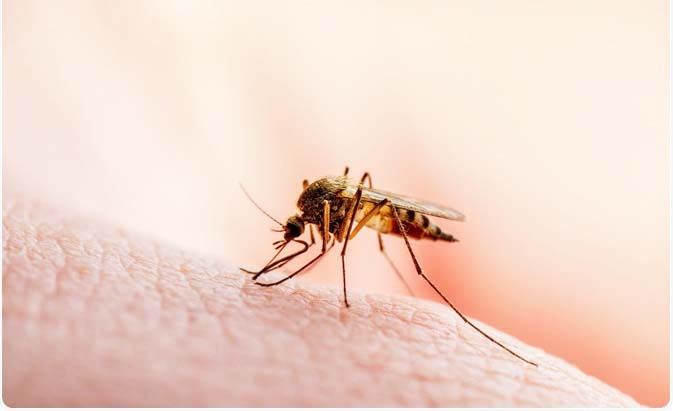 Akwa Ibom Combats Malaria With 3.9m Insecticide Treated Nets Set For Distribution To All Households