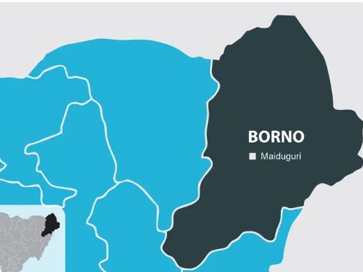 Terrorists ‘Abduct 42’ Schoolchildren In Borno