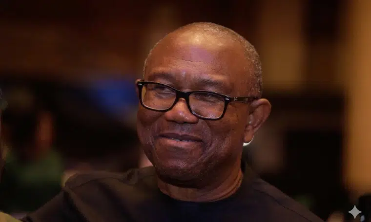 2027 May Be My Last Shot At Presidency – Peter Obi