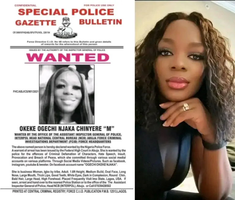 ECOWAS Court Orders FG, Police To Pay Compensation For Violating Ogechi Njaka’s Rights, Withdraw Publication