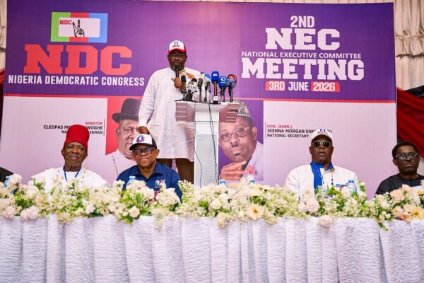 NDC Finally Endorses Primary Elections in NEC Meeting