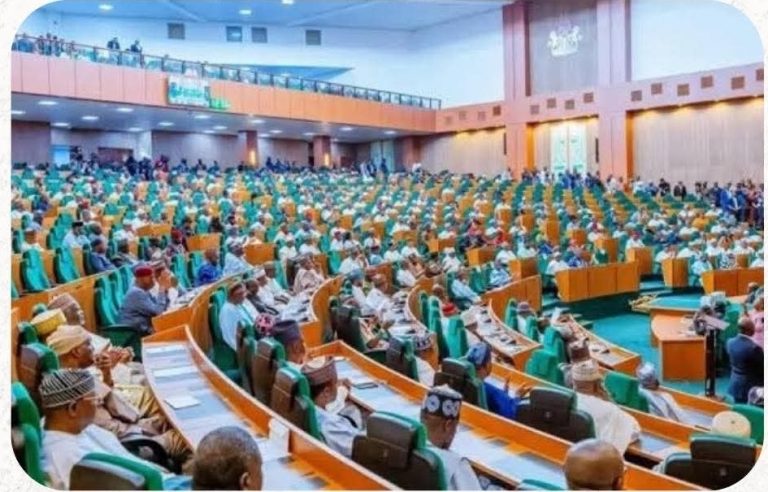 House Of Reps Passes Constitutional Amendment Bill To Establish State Police In Nigeria