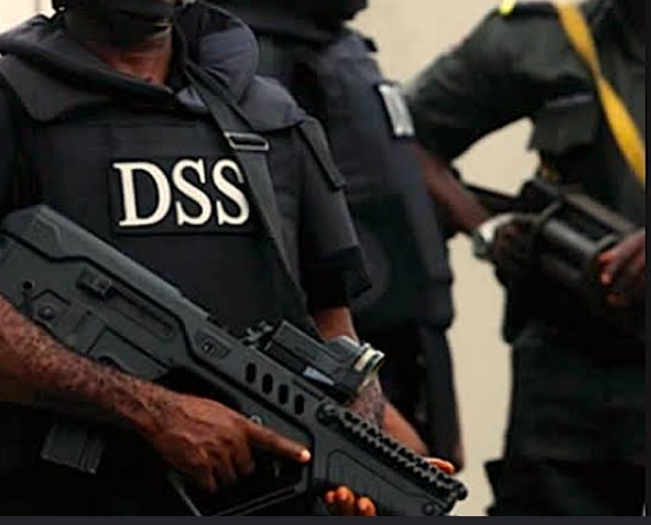 DSS Rejects Foreign Funding For Security, Intelligence Gathering