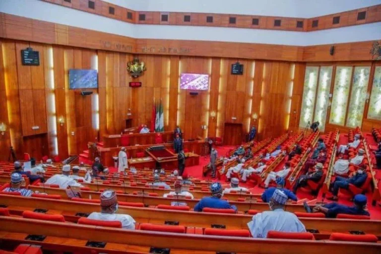 Senate Passes State Police Bill, Empowers Govs To Appoint Commissioners
