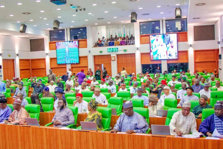 State Police Near Reality As Reps Pass Bill