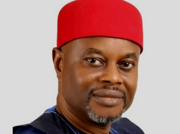 Former Nigerian Minister, Uche Nnaji, Arrested At Airport