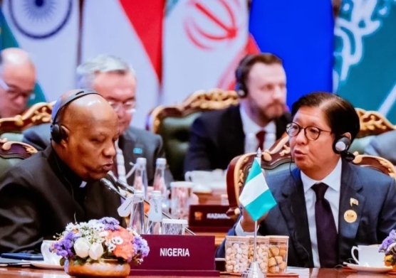 BRICS: Nigeria Seeks Reform Of UN, Global Financial System