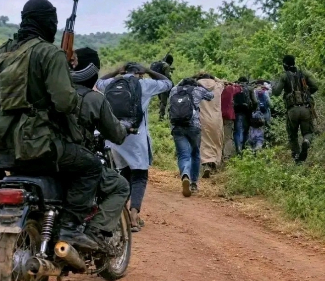 Terrorists Storm Niger Community, Abduct Over 100 Residents in Fresh Mass Raid
