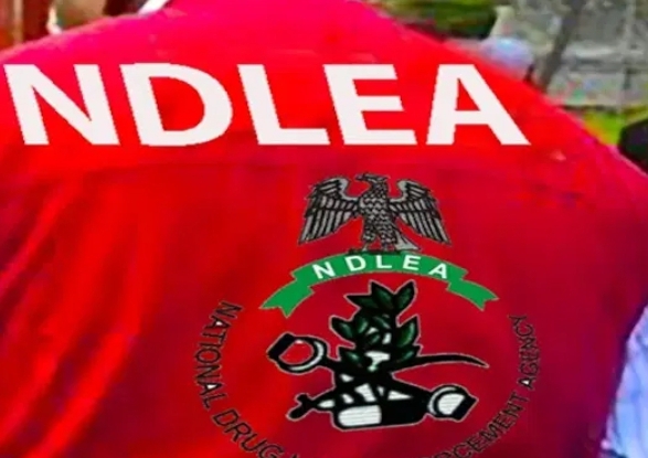 NDLEA Dismantles Nigerian-Mexican Meth Cartel, Arraigns 2