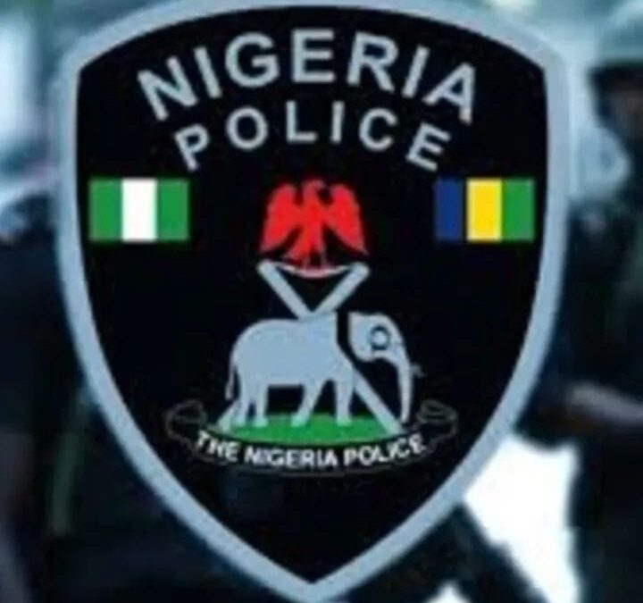 Police Rescue 10 After Abduction Of Corps Members In Imo