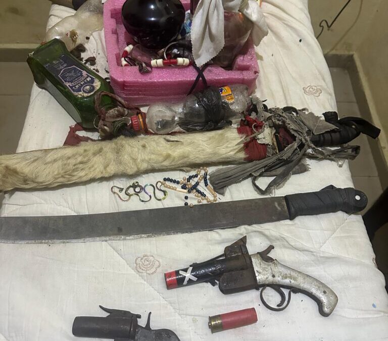 Police Apprehend Suspected Armed Robber, Recover Pistols, Ammunition In Uyo