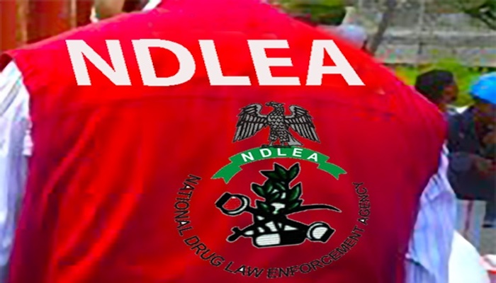 NDLEA Announces Free Drug Integrity Tests For New Recruits In Four Agencies