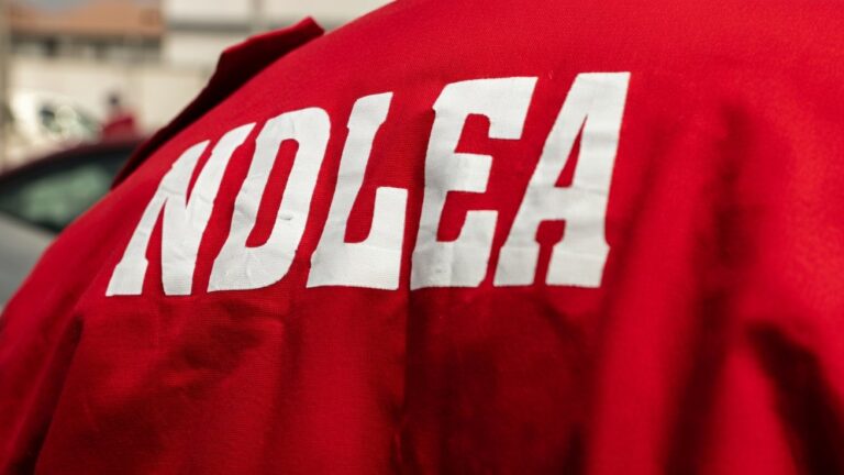 Mob Attacks NDLEA Officers During Drug Bust In Cross River