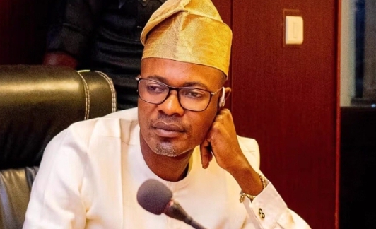 Court strikes out FG’s Charges against Fake agency DG, Adeniyi Adeyemi